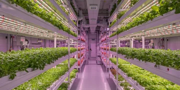 Vibrant vertical farm interior with LED lights and automated plant cultivation systems.